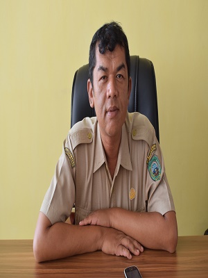 Mulfiandi